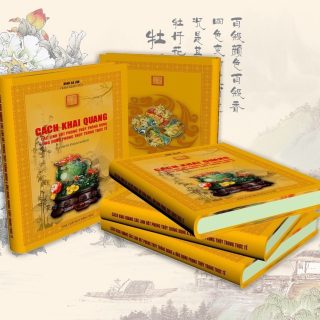 Cách khai quang các linh vật phong thuỷ thông dụng và ứng dụng phong thuỷ trong thực tế PDF
