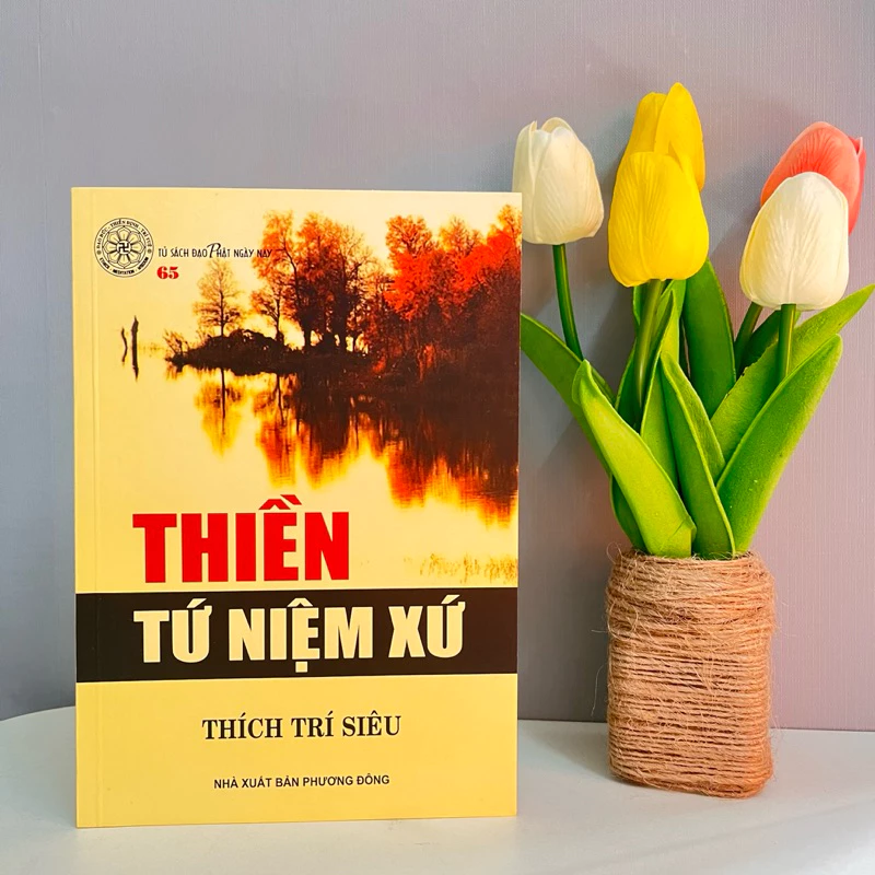Thiền Tứ Niệm Xứ PDF